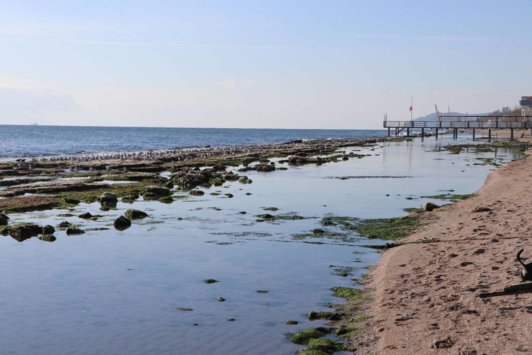 Marmara'da korkutan görüntü: Deniz 25 metre çekildi! Deprem habercisi mi? Uzmanı yanıtladı 2